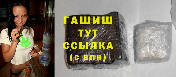 дживик Бородино