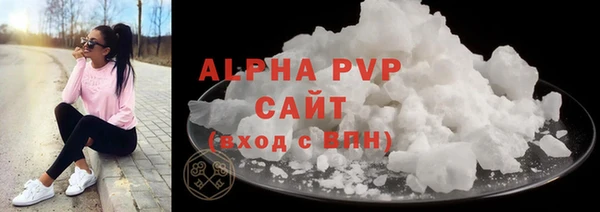 дживик Бородино