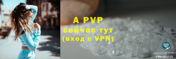 дживик Бородино
