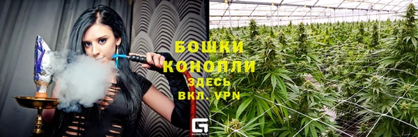 дживик Бородино