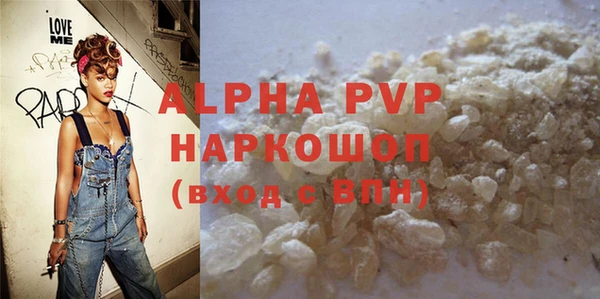 дживик Бородино