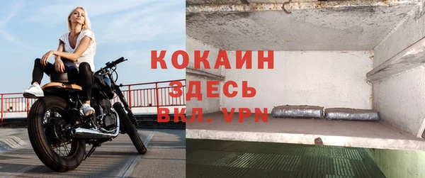 дживик Бородино
