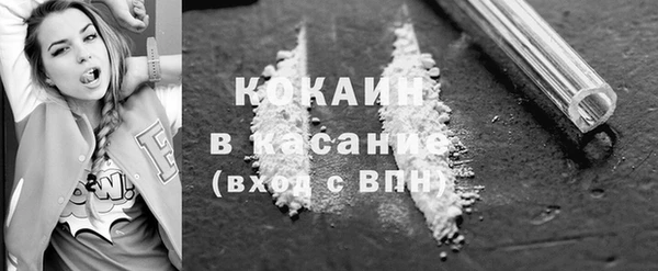 дживик Бородино