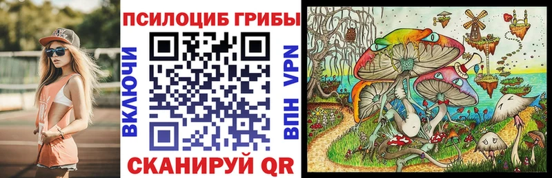 где купить наркоту  darknet Telegram  Галлюциногенные грибы Psilocybine cubensis  Киров 
